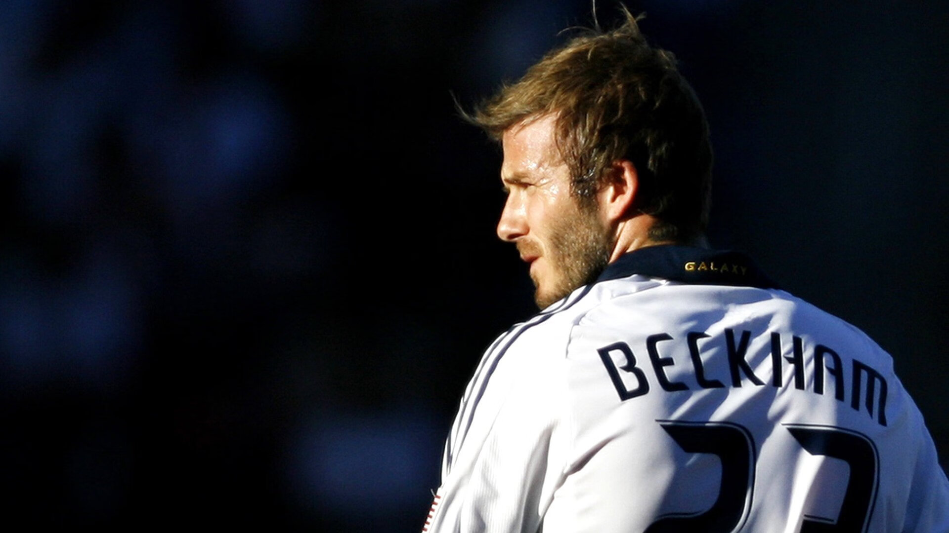 太阳收割深圳队,当篮球成为城市精神的炼金术